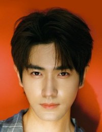 Ван Цзюнь Хао