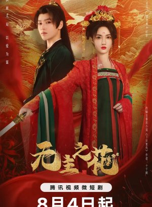 Леди-командир