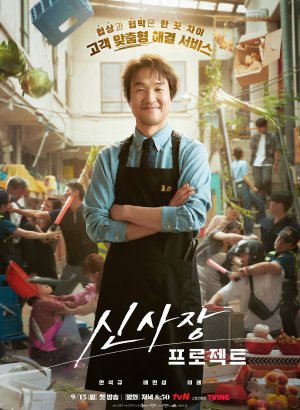 Проект мистера Шина