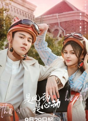 Ветер ли, сердце ли